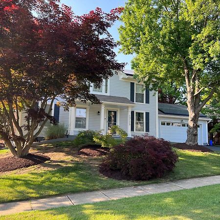 Upgraded, Beautiful 4 Bd Colonial In Силвер Спринг Экстерьер фото